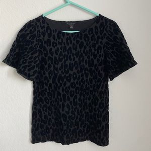 Ann Taylor top